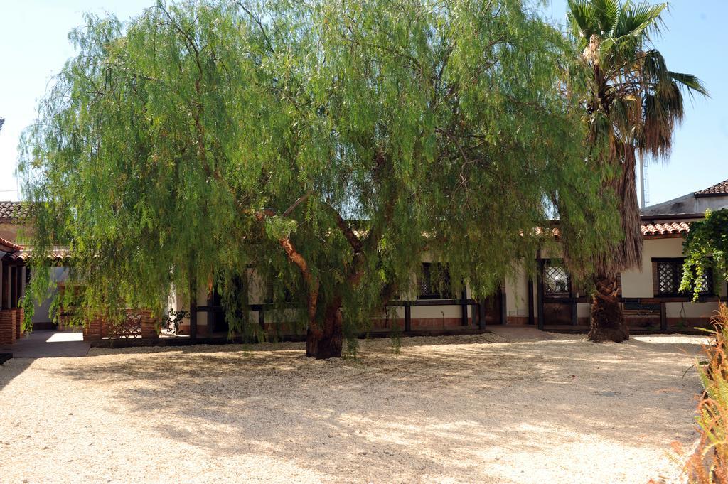 קטאניה B&B Kephale מראה חיצוני תמונה
